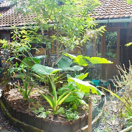Farmer'S Yard Hostel Canggu (Bali) Ngoại thất bức ảnh