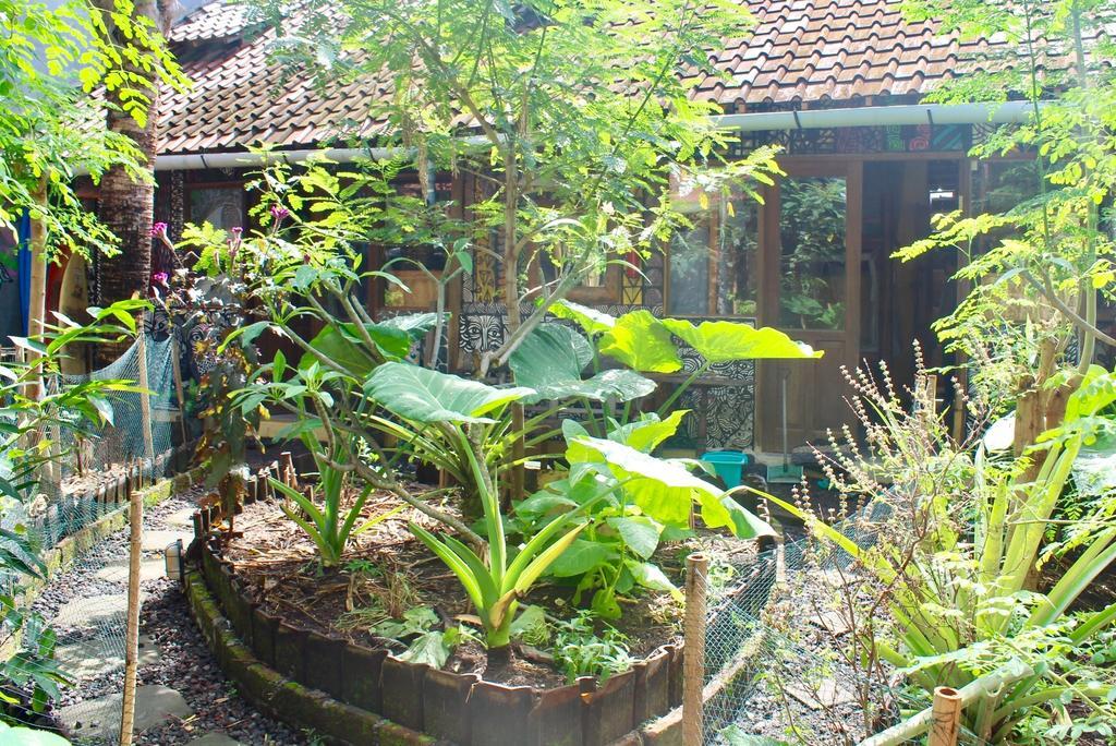 Farmer'S Yard Hostel Canggu (Bali) Ngoại thất bức ảnh